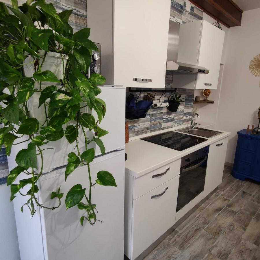 Apartment Maison Exotique - / Cinque Terre / Travel