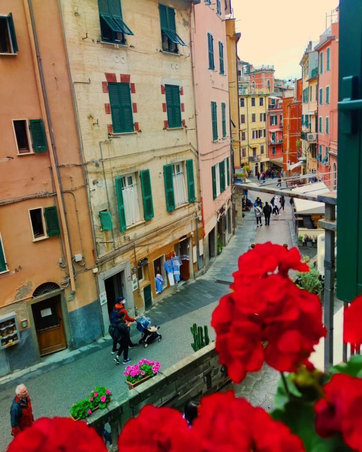 Maison Exotique - / Cinque Terre / Travel