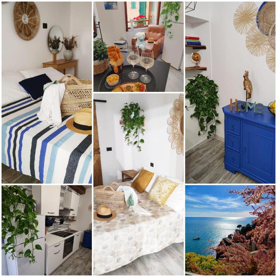 Maison Exotique - / Cinque Terre / Travel Riomaggiore