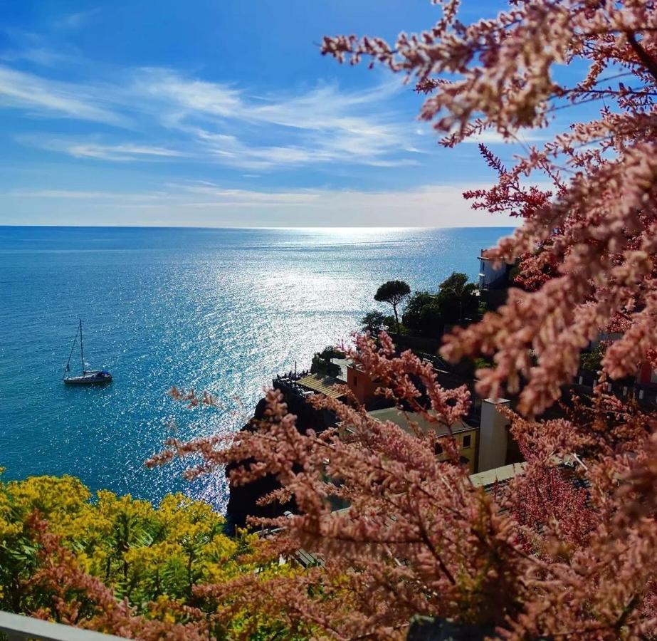 Maison Exotique - / Cinque Terre / Travel *